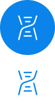 設(shè)計(jì)、樣線(xiàn)開(kāi)發(fā) 定型及試驗(yàn)